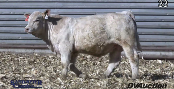 33_ce511ccc4effa370ef55a95820ec089f